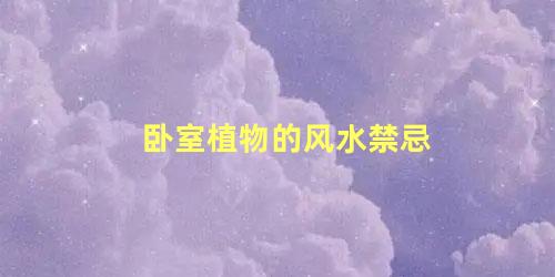卧室植物的风水禁忌