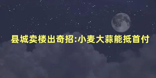 县城卖楼出奇招:小麦大蒜能抵首付
