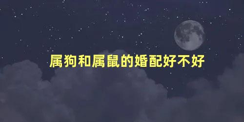 属狗和属鼠的婚配好不好