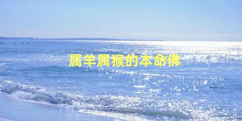 属羊属猴的本命佛