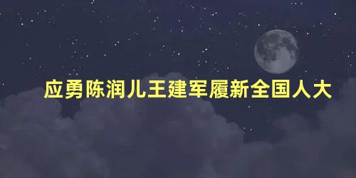 应勇陈润儿王建军履新全国人大