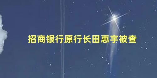 招商银行原行长田惠宇被查