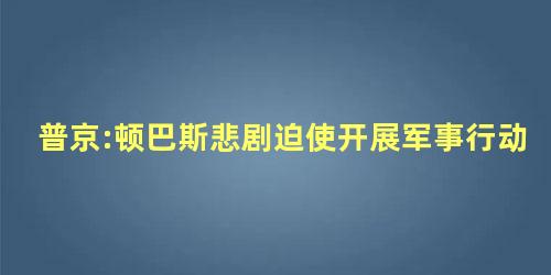 普京:顿巴斯悲剧迫使开展军事行动