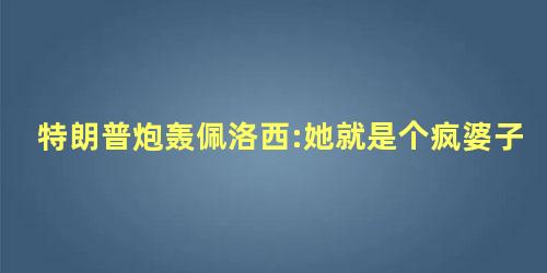 特朗普炮轰佩洛西:她就是个疯婆子