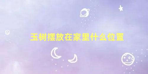 玉树摆放在家里什么位置