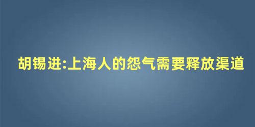胡锡进:上海人的怨气需要释放渠道