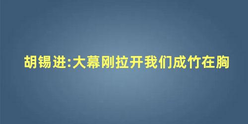 胡锡进:大幕刚拉开我们成竹在胸