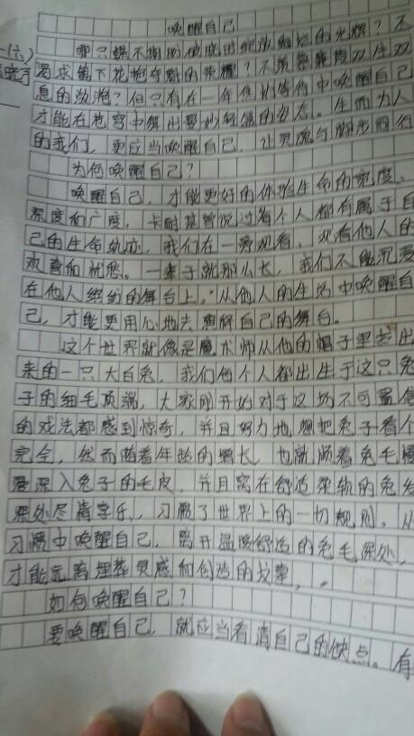 我梦见了什么什么作文