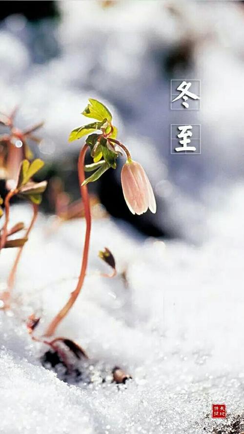 冬至祝福