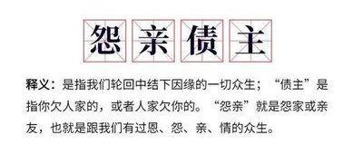 梦见有人怨我
